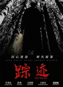 国产午夜大片